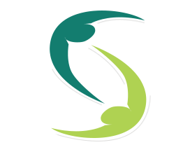 Smart Net Solutions Logo